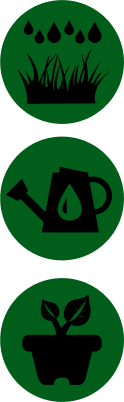 Ogród